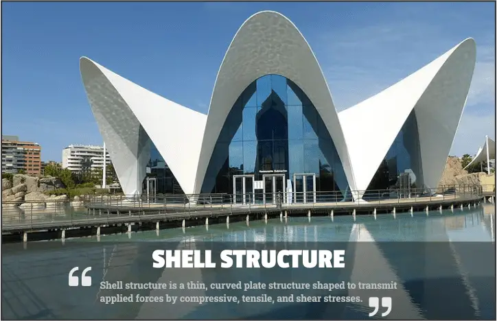 Shell Structure: Types, Examples and Applications