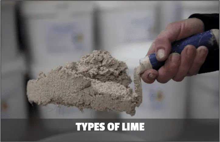 Types of Lime
