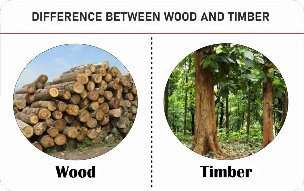 Difference between Wood and Timber