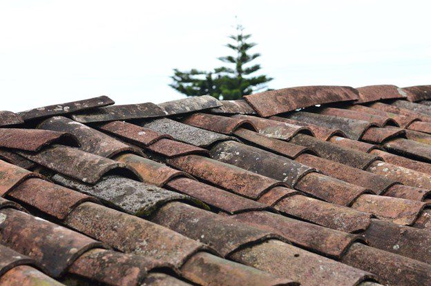 Essential Roof Maintenance Tips